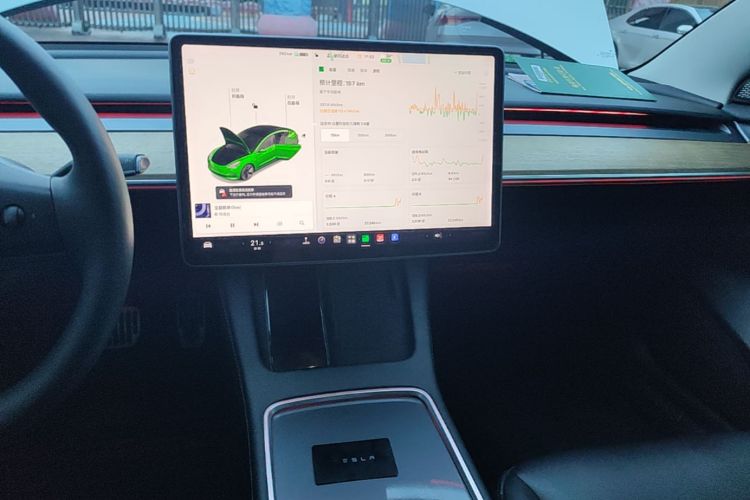 Tesla Model 3 2021 car image #13