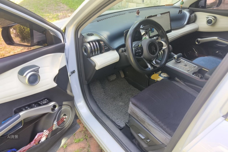 BYD Yuan Plus 2022 car image #18