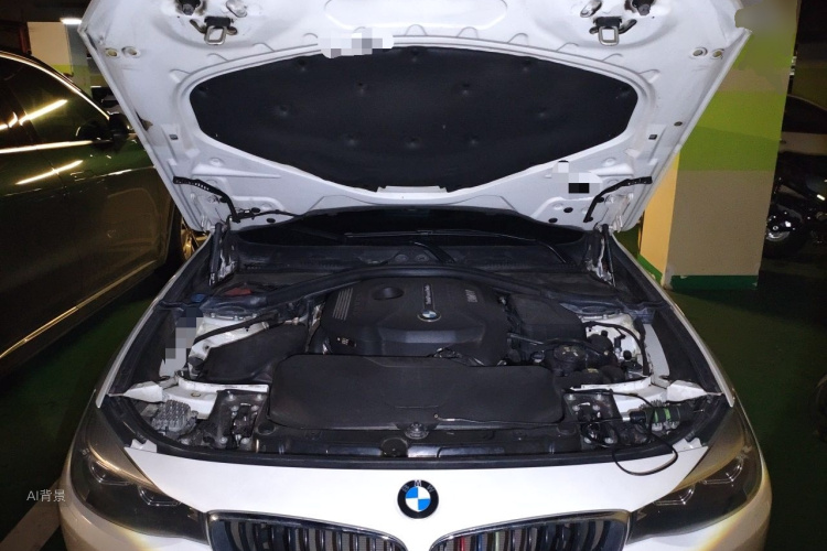 BMW 3 Series GT 2017 car image #22