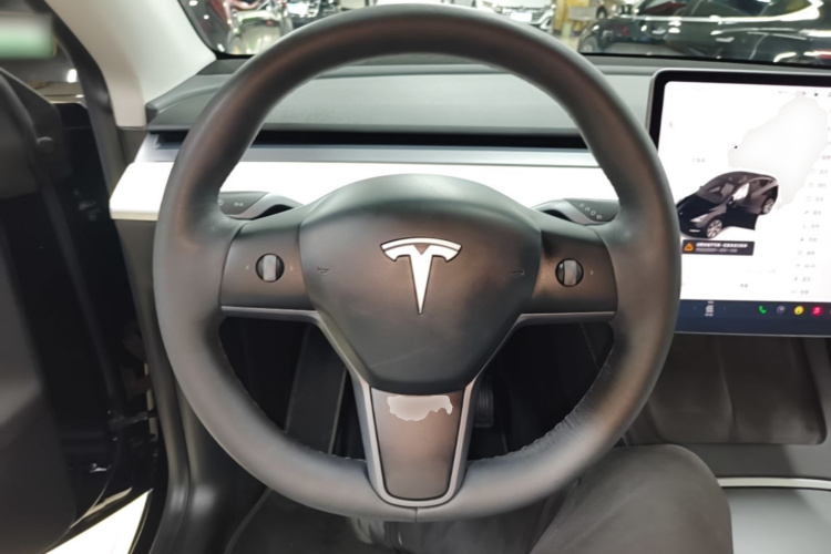 Tesla Model Y 2021 car image #15