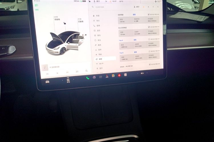 Tesla Model 3 2021 car image #17