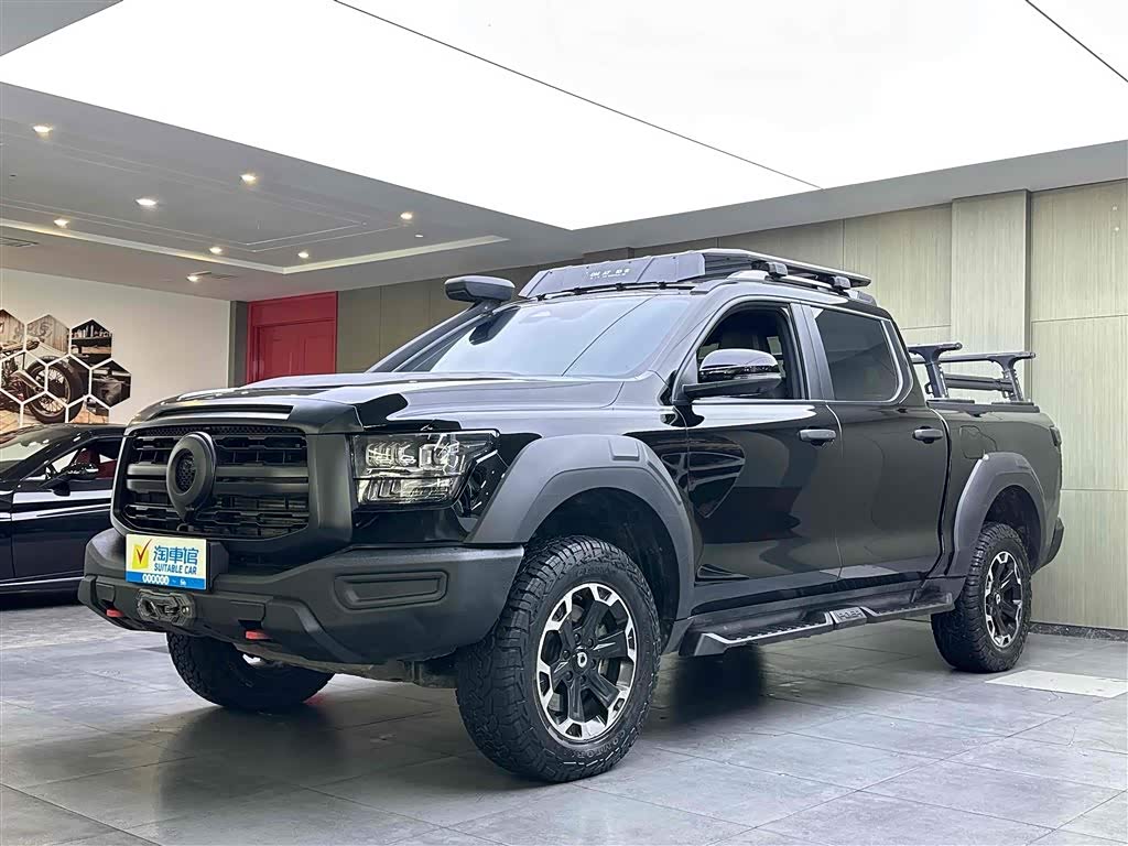 Great Wall Shanhai Pao 2024 car image 