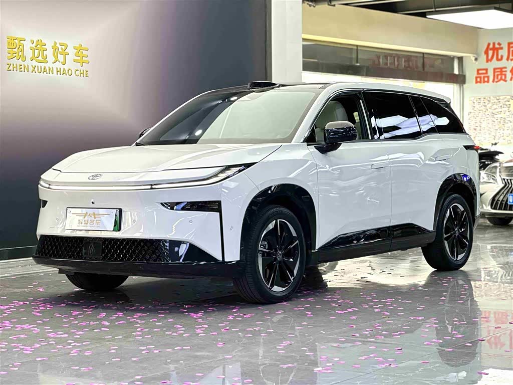 Toyota Bozhi 3X 2025 汽车图片 
