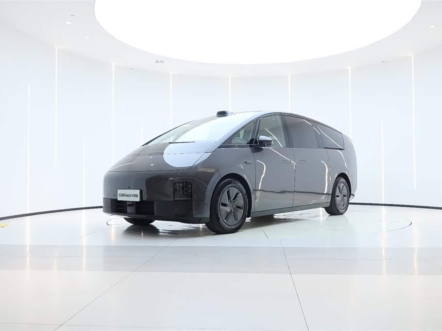 Li Mega 2024 汽车图片 