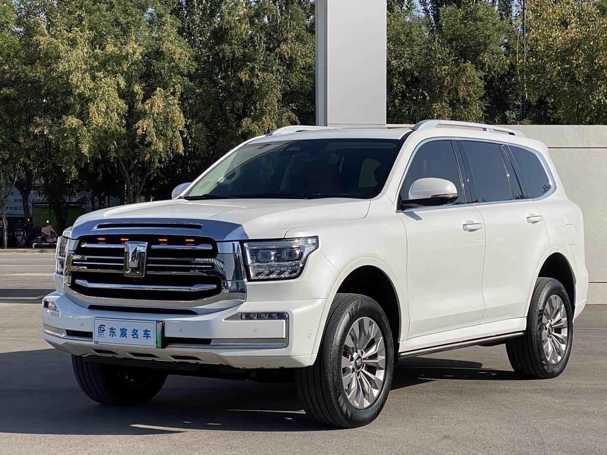 Tank 500 New Energy 2024 car image 