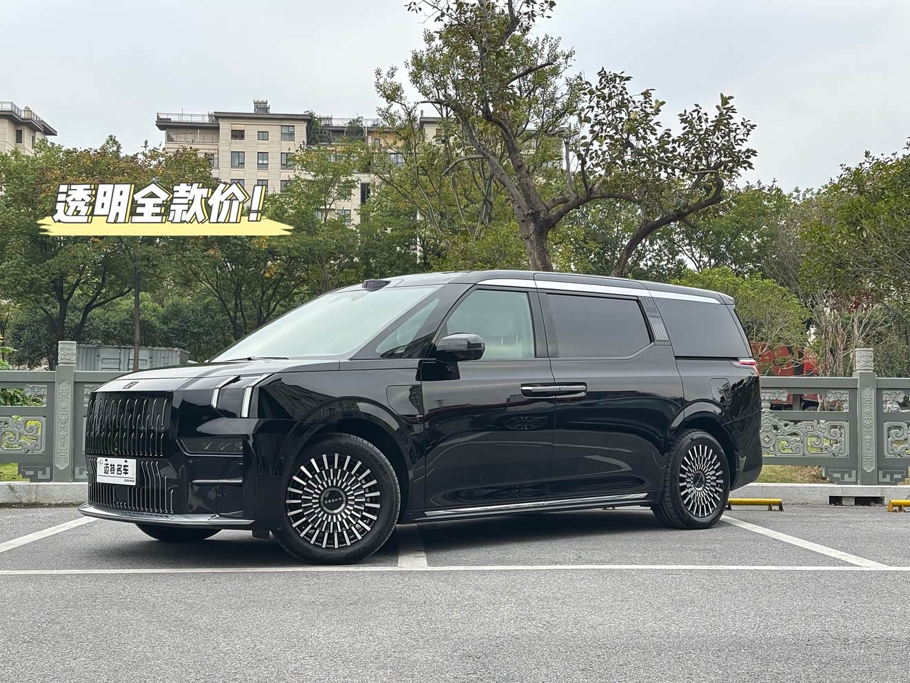 Zeekr 009 2024 汽车图片 