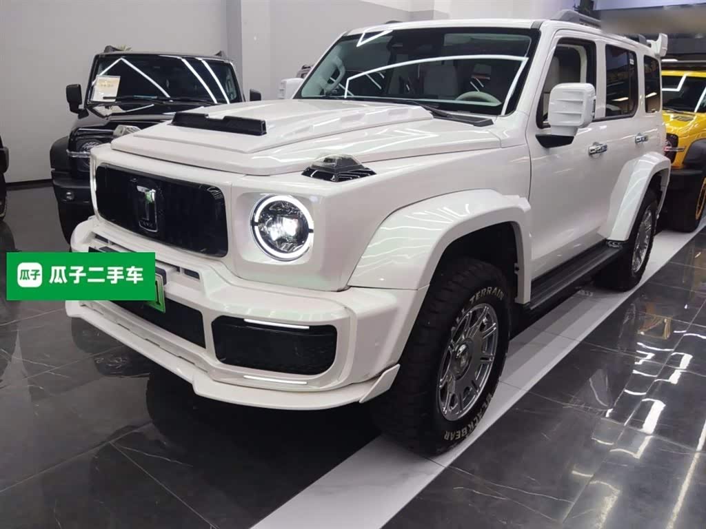 Tank 300 New Energy 2025 car image 