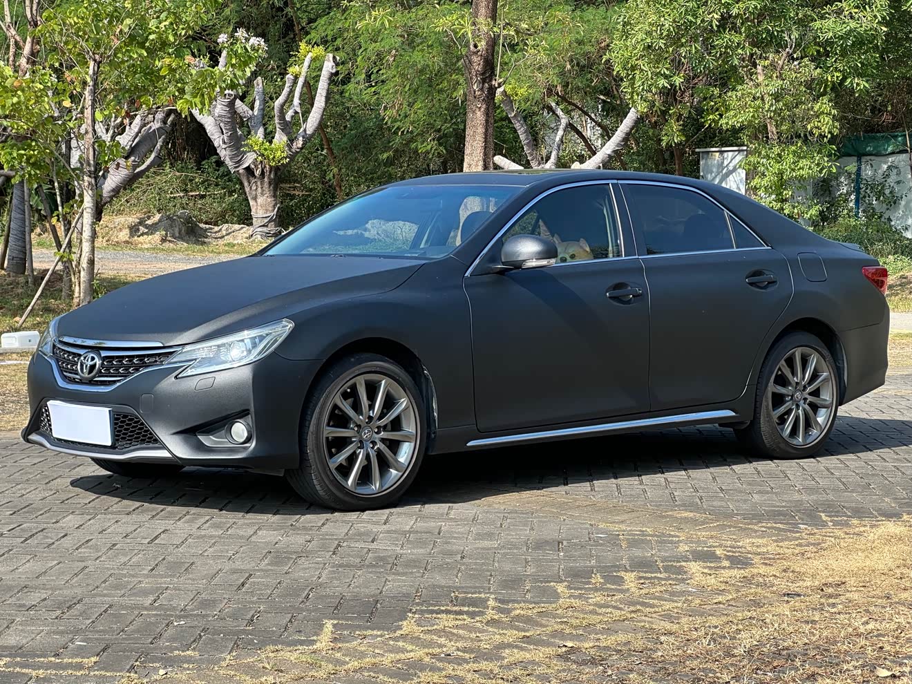 Toyota Reiz 2013 immagine di auto 