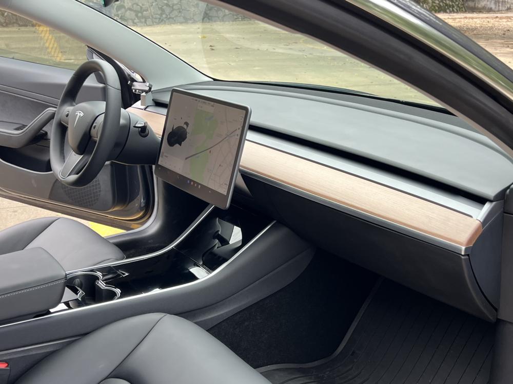 Tesla Model 3 2020 #13 Tesla Model 3 2020 car image #13