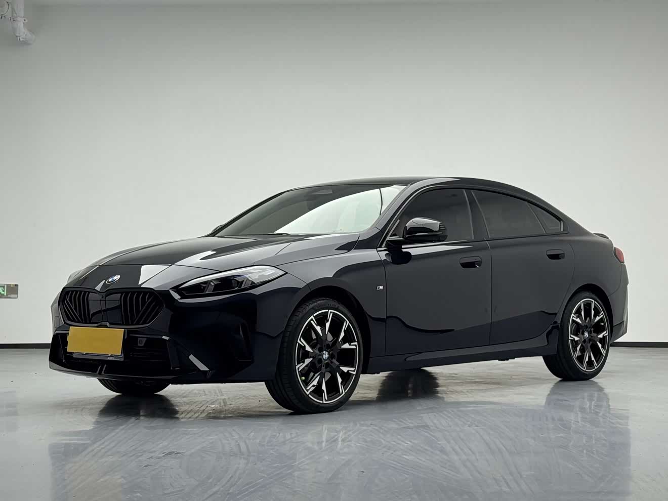 BMW 2 Series 2025 car image 