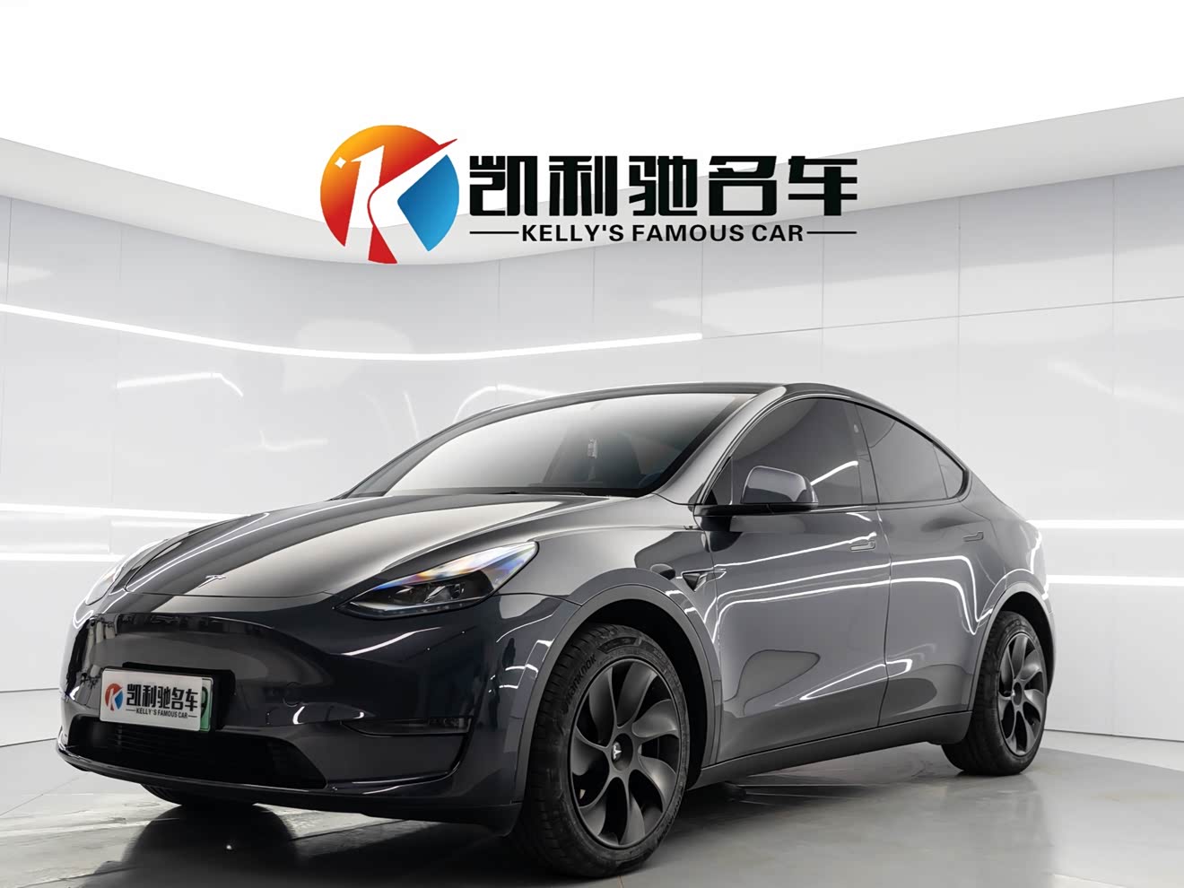 Tesla Model Y 2024 car image 