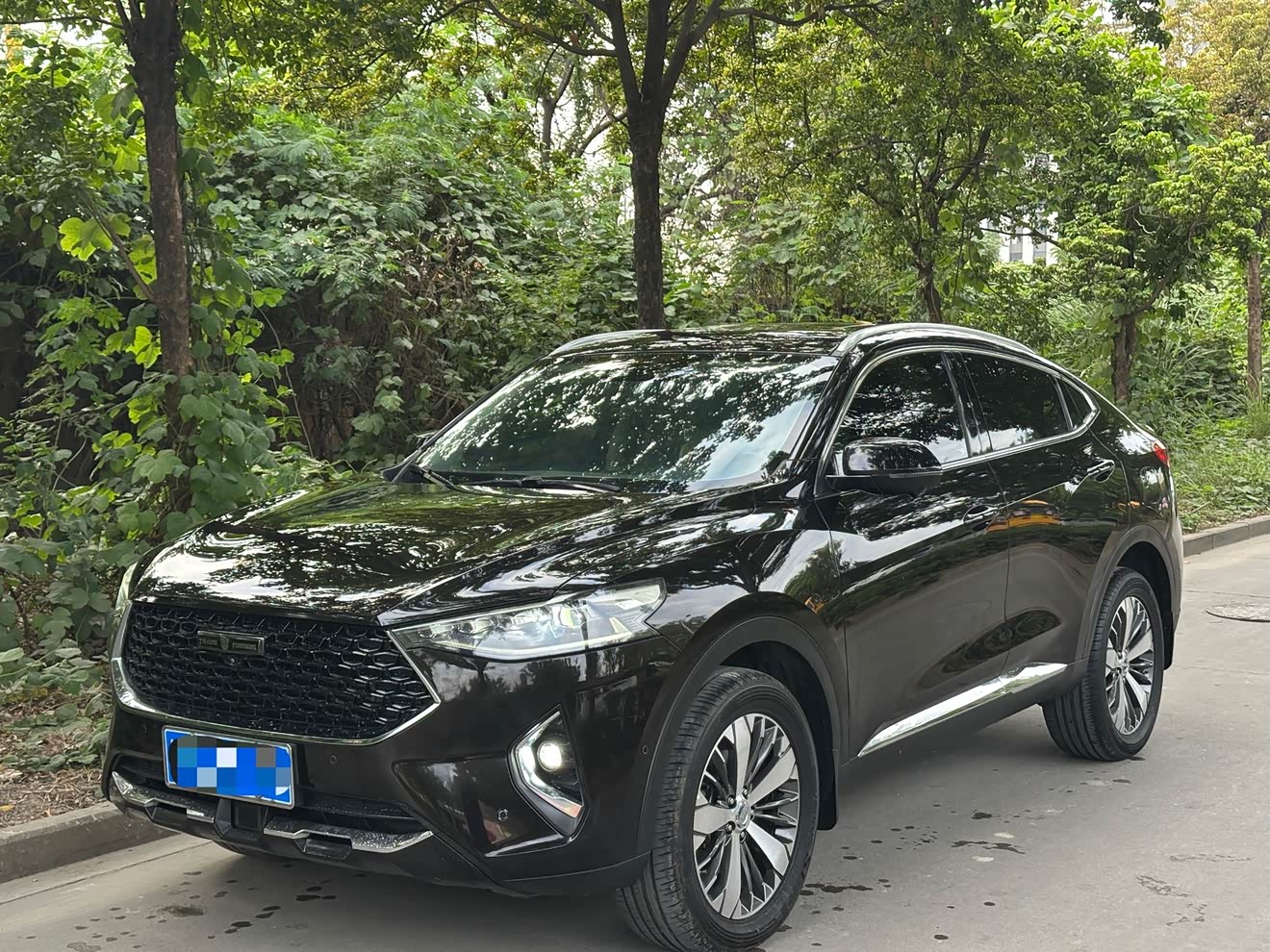 Haval F7x 2019 car image 