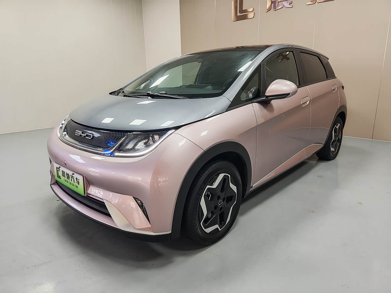 比亚迪 海豚 2022 汽车图片 