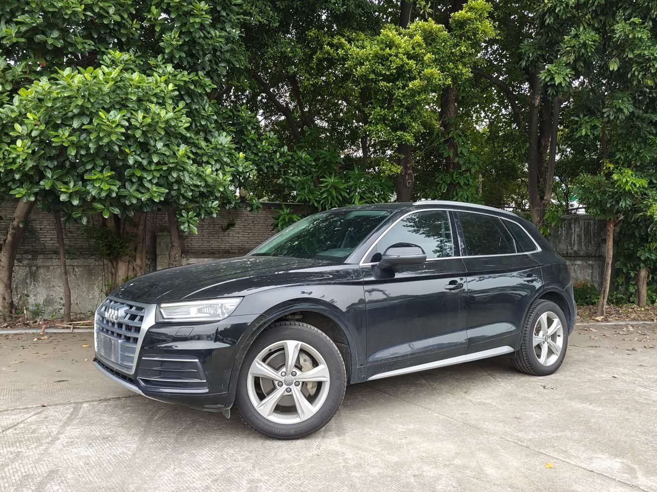 Audi Q5L 2019 car image 