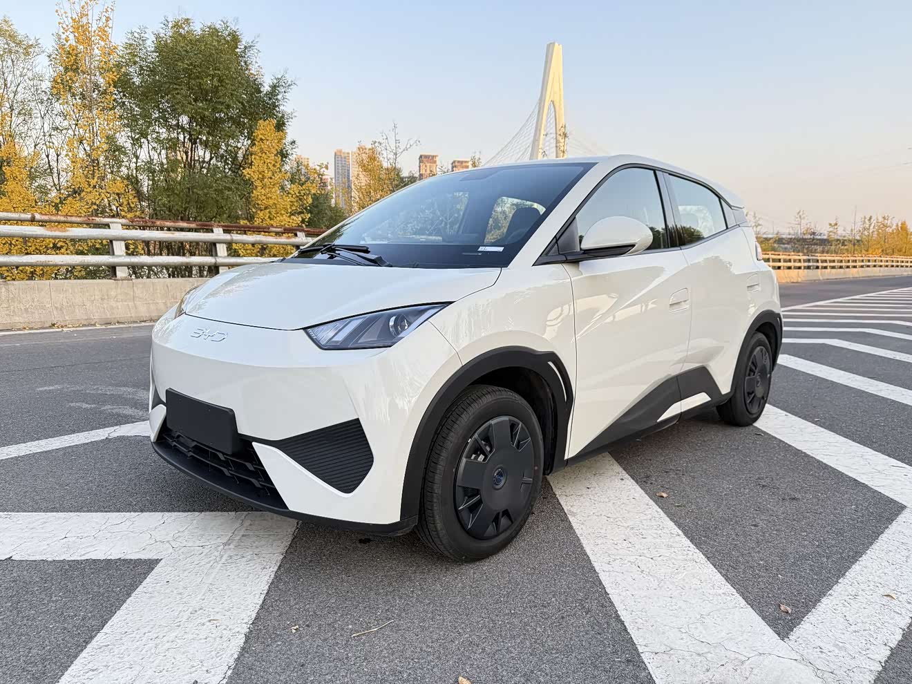 BYD Seagull 2025 BYD Seagull 2025 car image