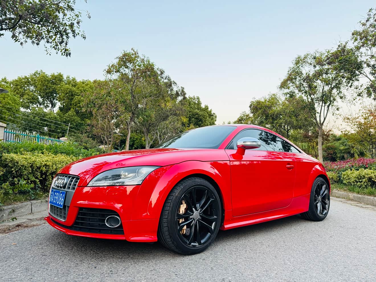 Audi TTS 2010 car image 