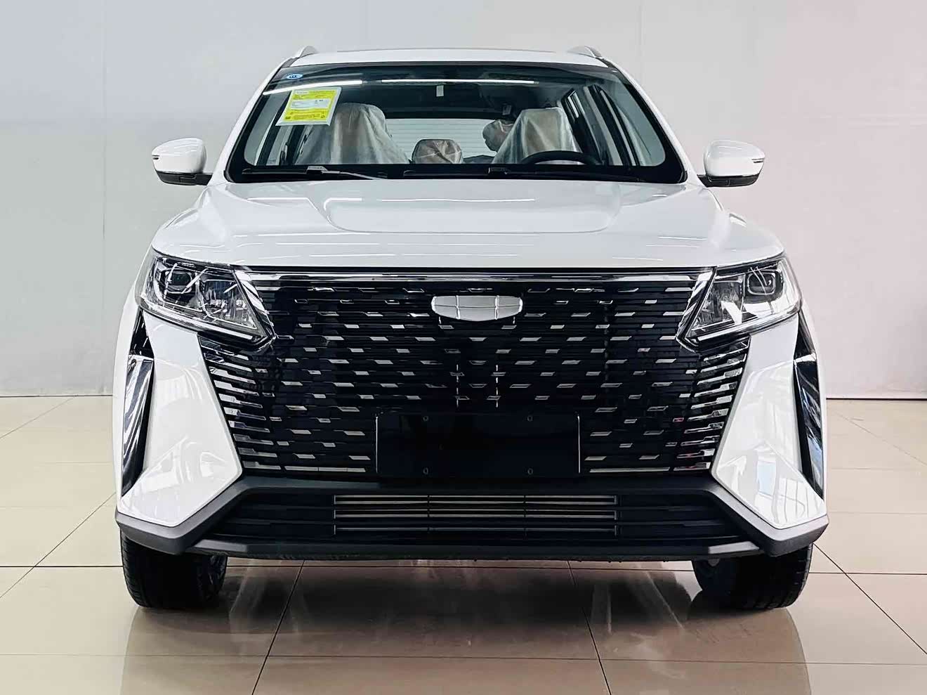 GEELY OkavangoPRO 2025 car image 