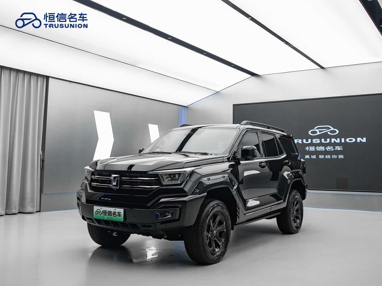 Tank 400 New Energy 2025 Tank 400 New Energy 2025 car image