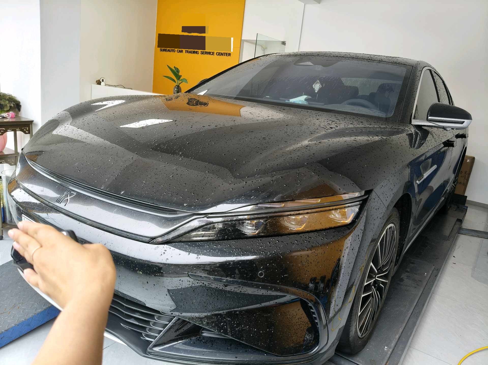 BYD Han 2023 car image 