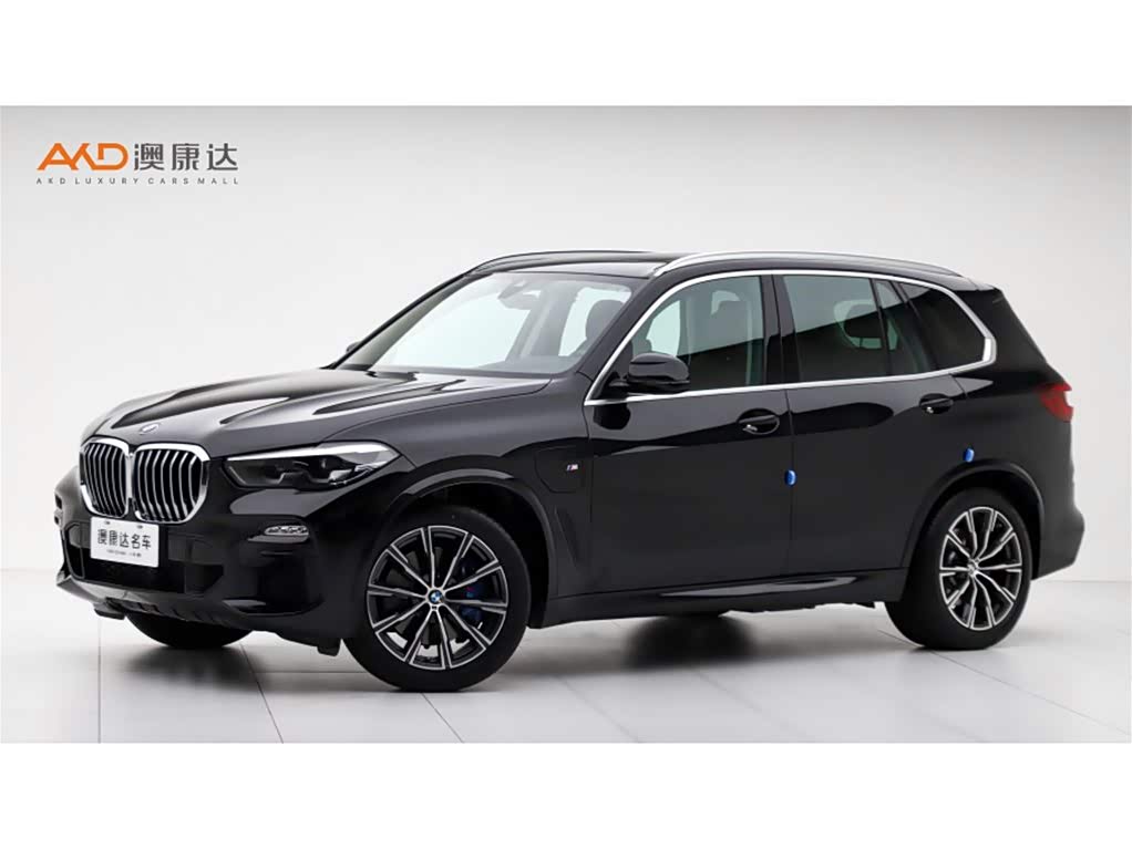 BMW X5 New Energy (Imported) 2021 car image 