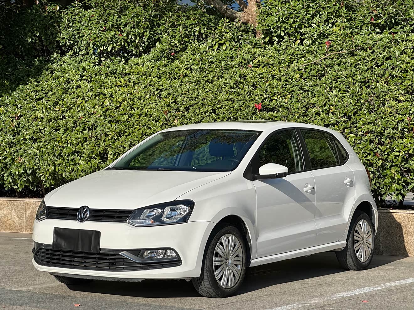 Volkswagen Polo 2017 car image 