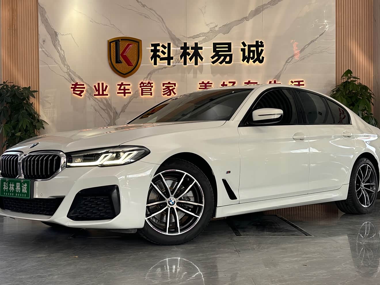 BMW 5 Series (Imported) 2021 car image 