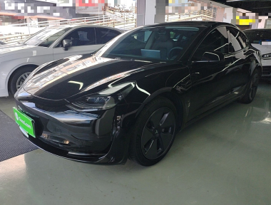 Tesla Model 3 2021 Tesla Model 3 2021 car image