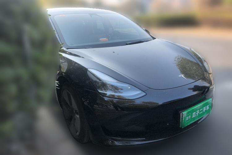 Tesla Model 3 2023 car image #4