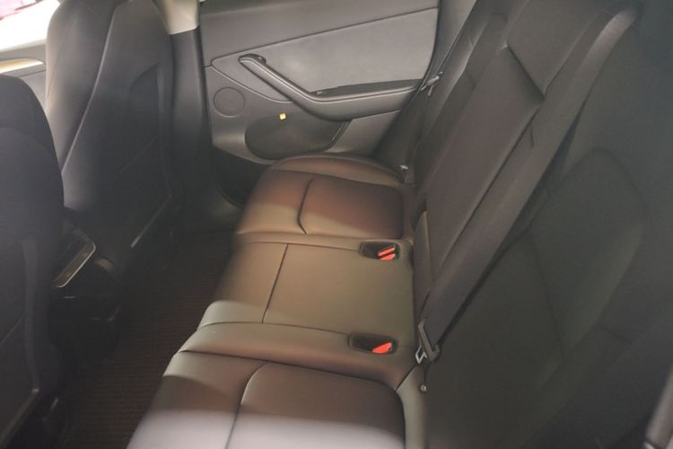 Tesla Model Y 2023 #17 Tesla Model Y 2023 car image #17