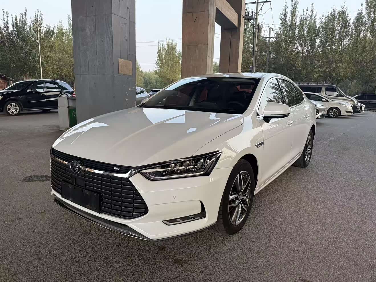 BYD Qin Pro New Energy 2020 car image 