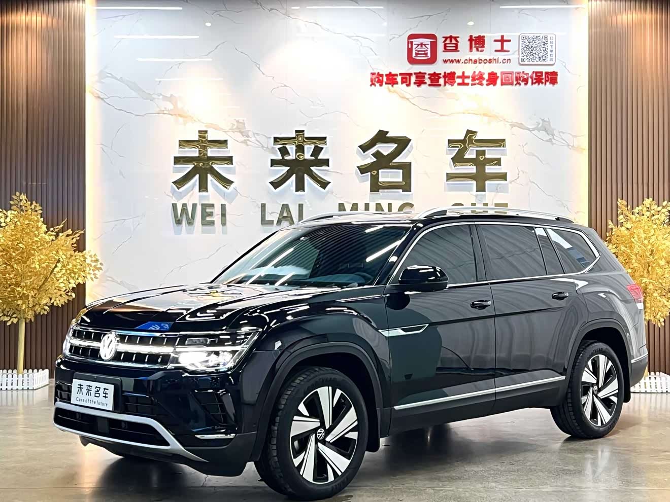 Volkswagen Teramont 2024 immagine di auto 