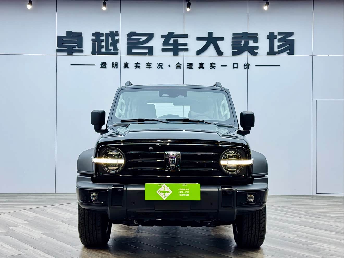 Tank 300 New Energy 2025 car image 