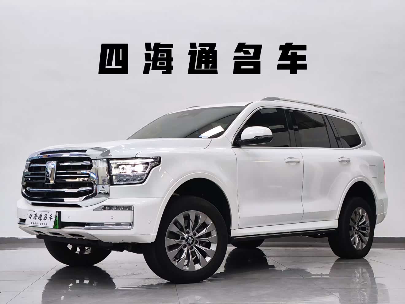 Tank 500 New Energy 2024 car image 