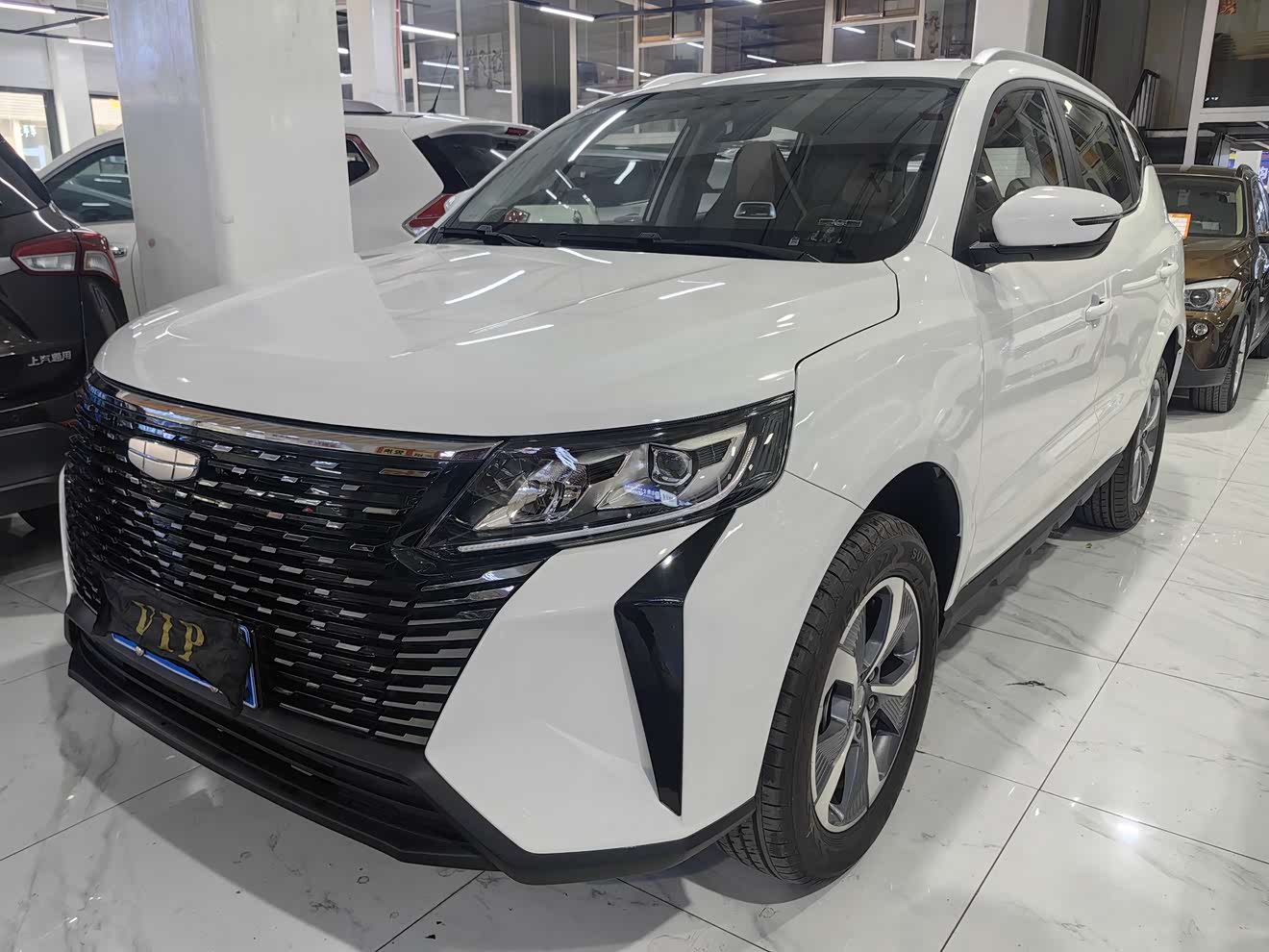 GEELY OkavangoPRO 2025 car image 