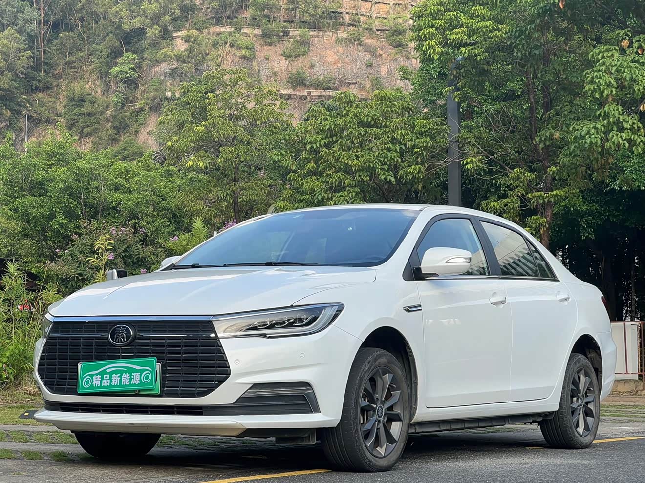 BYD Qin Pro New Energy 2020 car image 