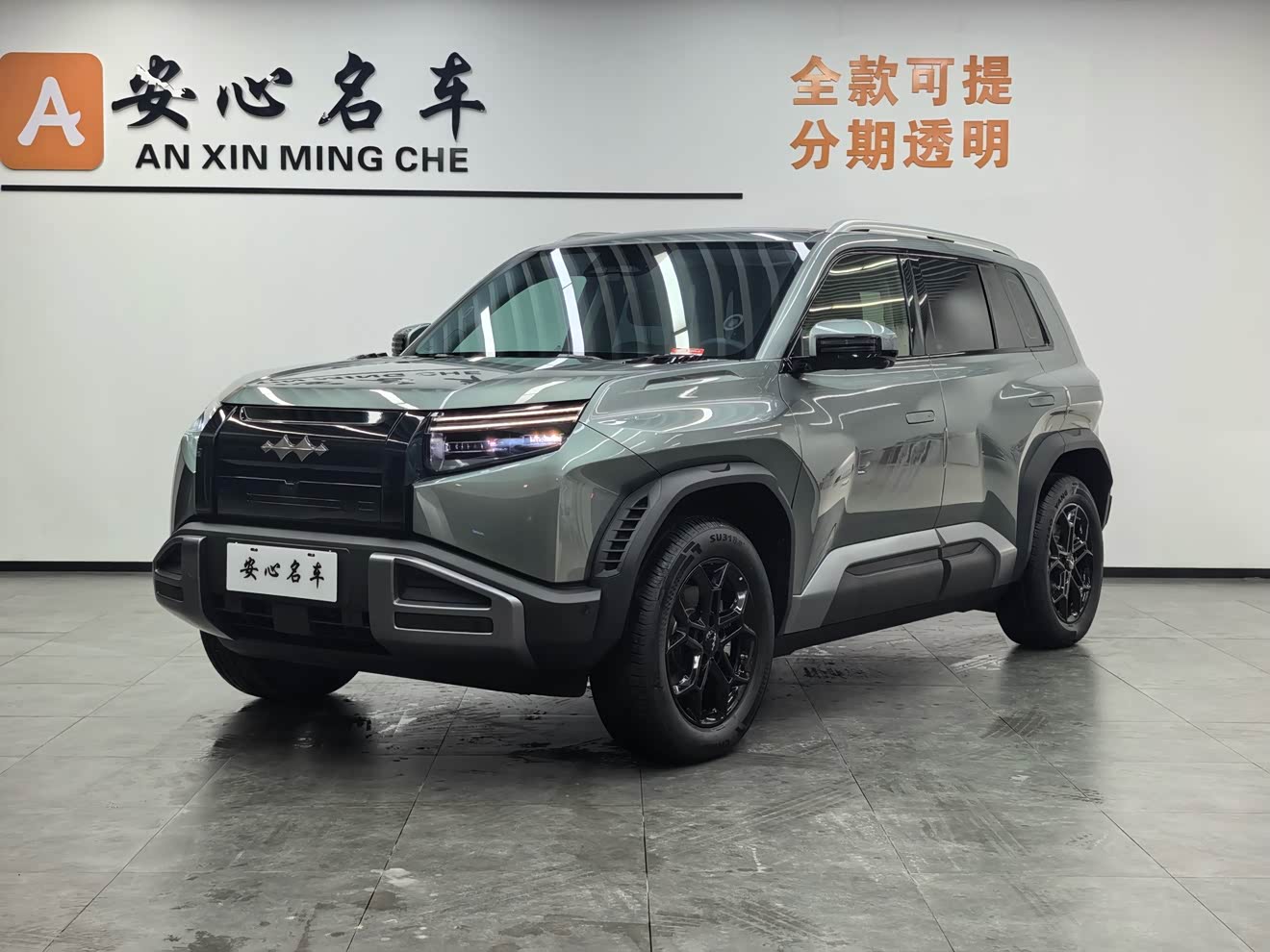 FangChengBao Tiger 3 2025 car image 