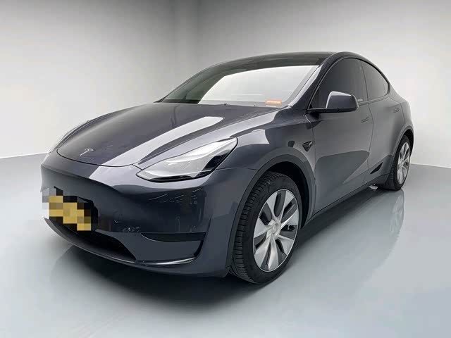 Tesla Model Y 2023 car image 