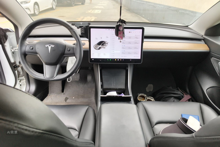 Tesla Model 3 2020 car image #11