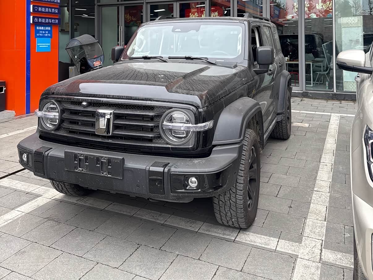 Tank 300 New Energy 2025 car image 