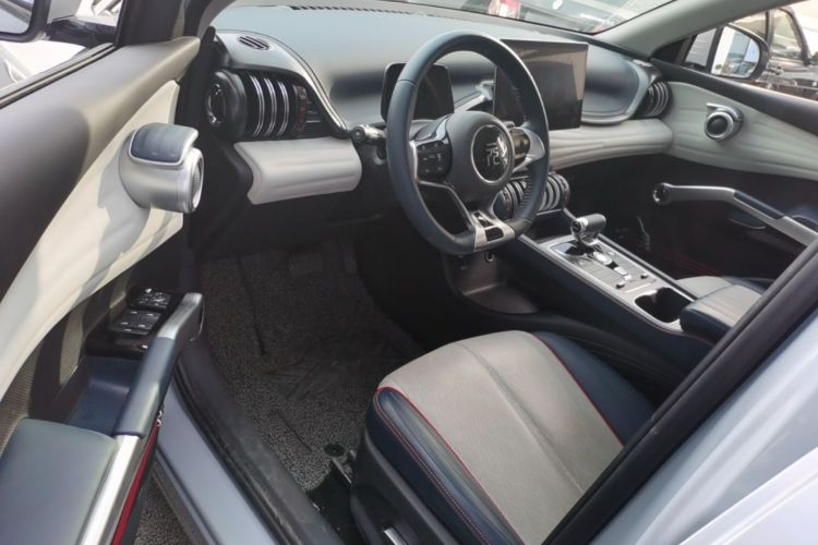 BYD Yuan Plus 2022 car image #16