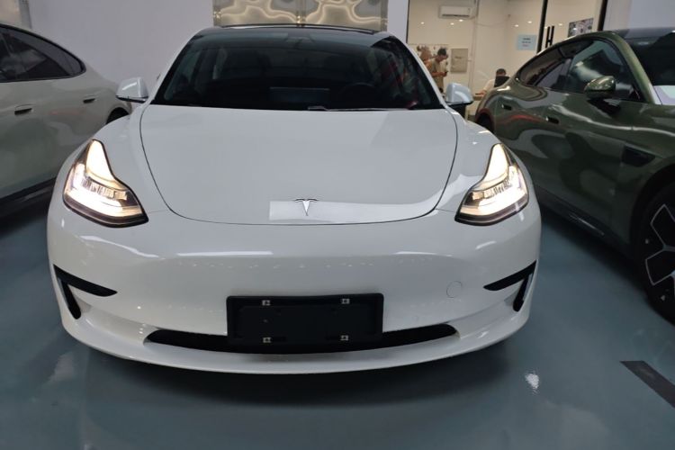 Tesla Model 3 2020 immagine di auto #3