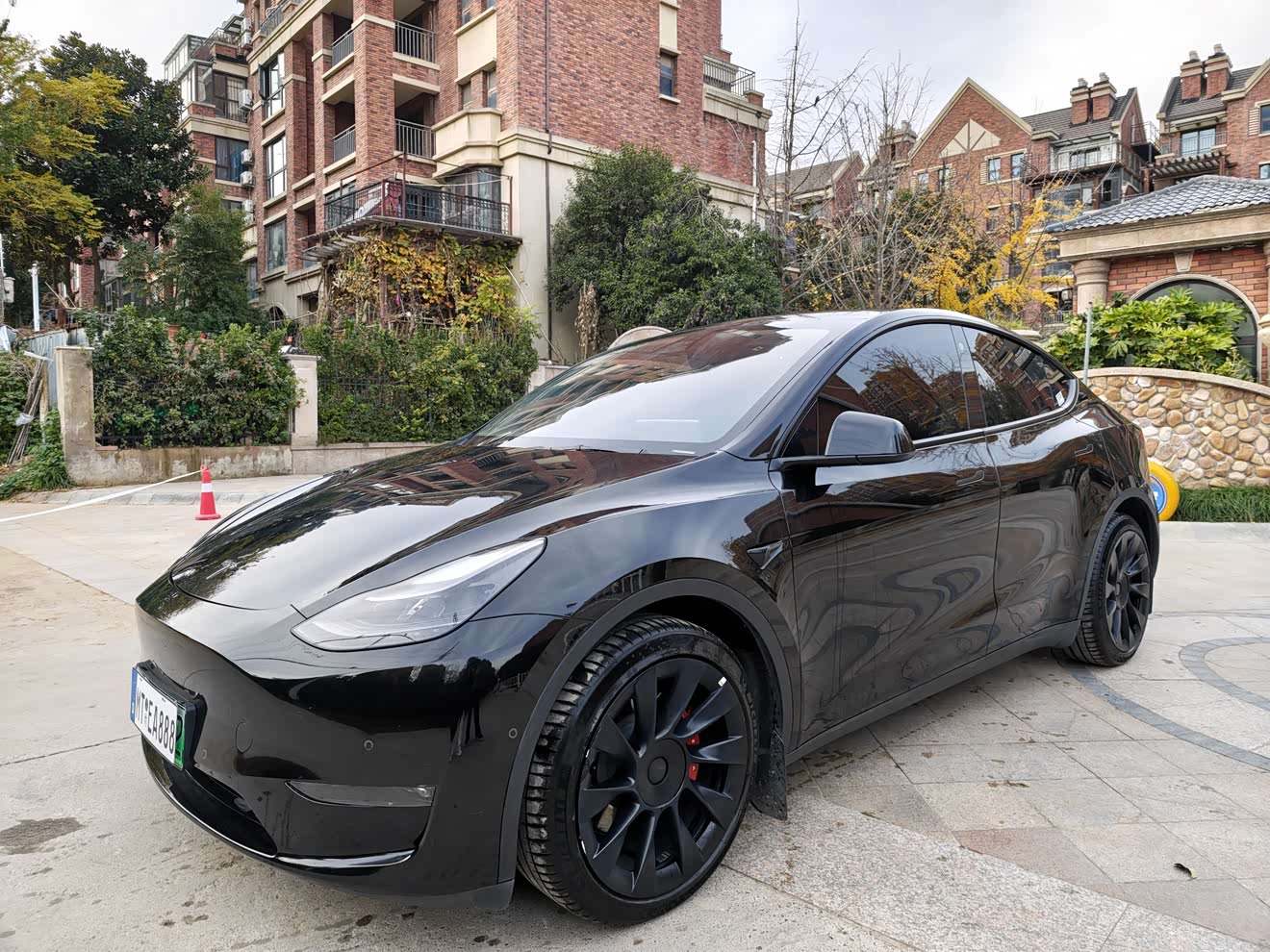 Tesla Model Y 2021 car image 