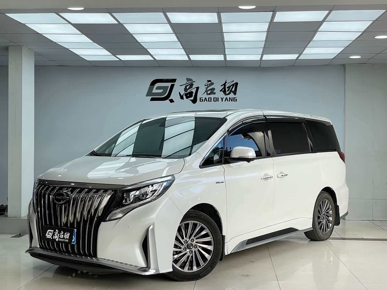 广汽传祺 传祺M8 2022 汽车图片 