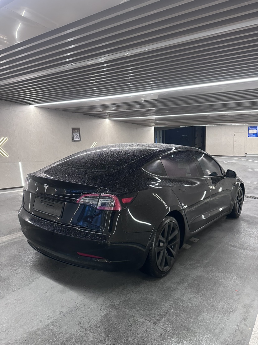Tesla Model 3 2023 immagine di auto #4