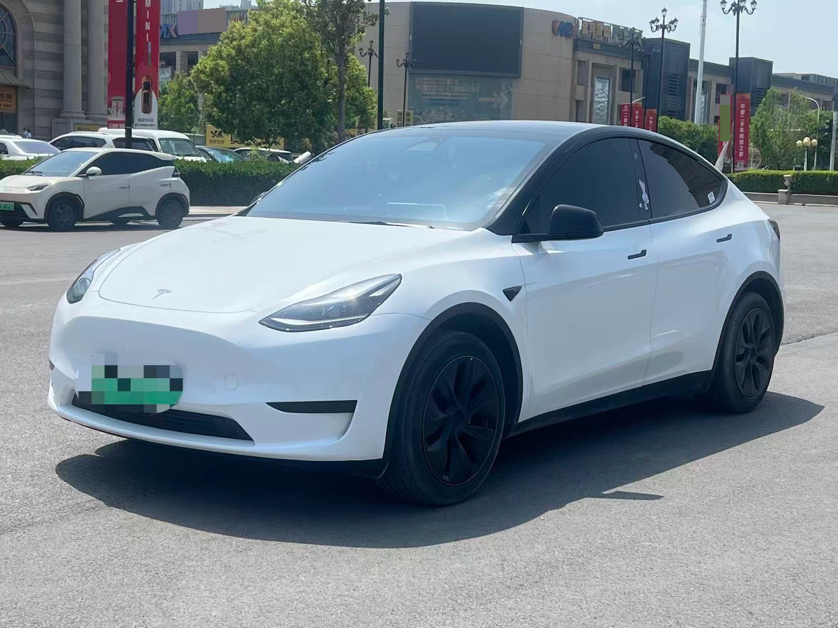 Tesla Model Y 2023 Tesla Model Y 2023 car image