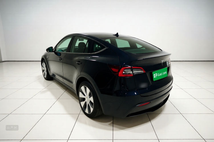 Tesla Model Y 2021 car image #5