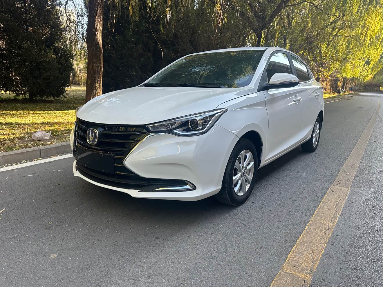 长安 悦翔 2020 汽车图片 