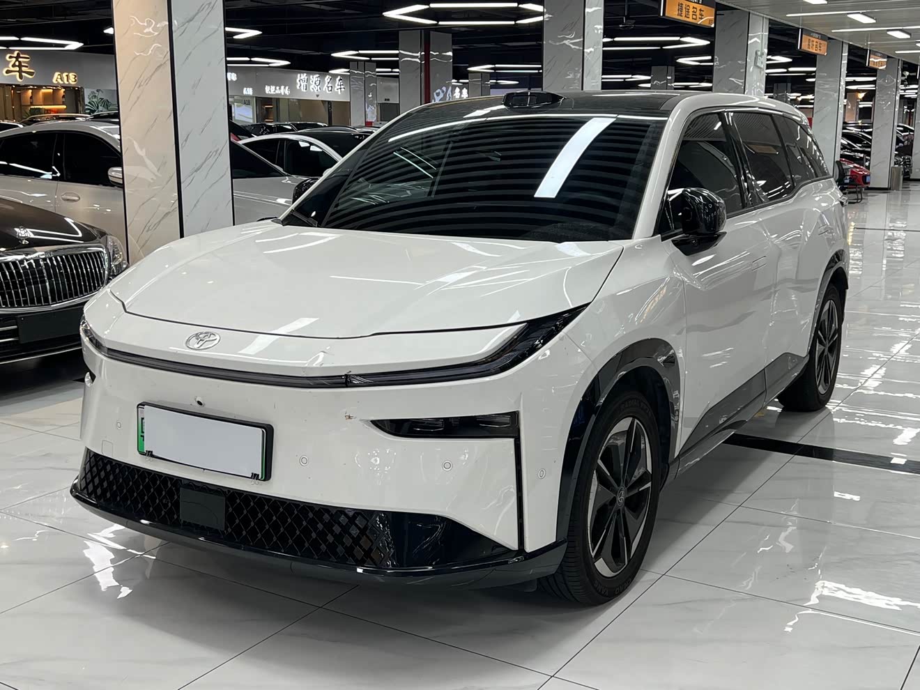 Toyota Bozhi 3X 2025 汽车图片 