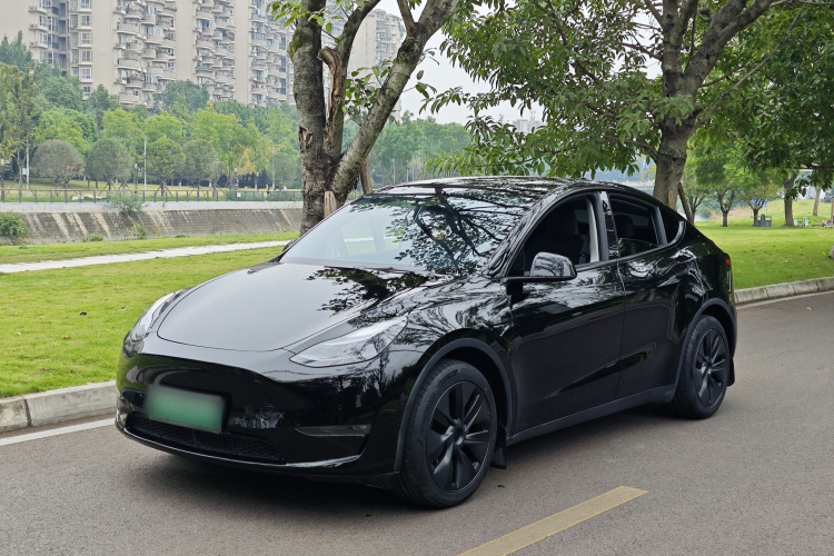 Tesla Model Y 2024 immagine di auto #3