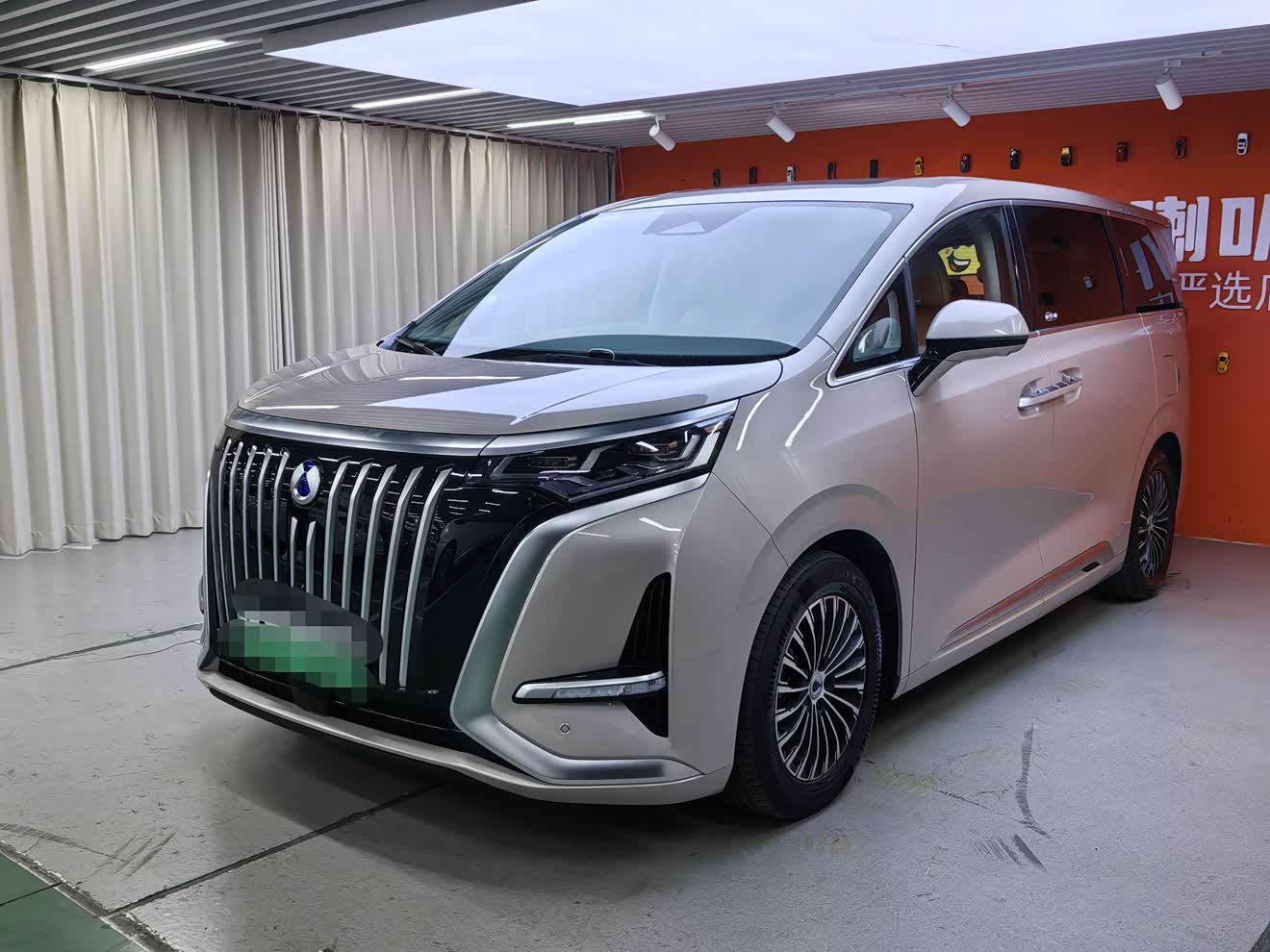 腾势 腾势D9 2023 汽车图片 